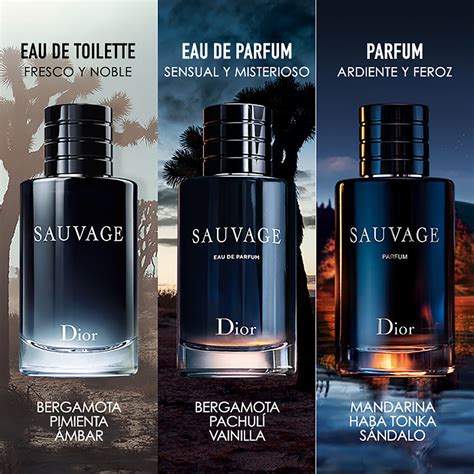 sauvage dior egypt|dior sauvage for men.